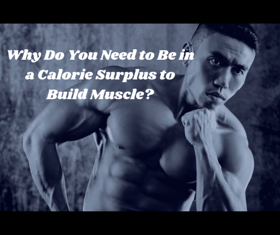 Why do you need to be in a calorie surplus to build muscle?  (Solved!)

 – healblogger