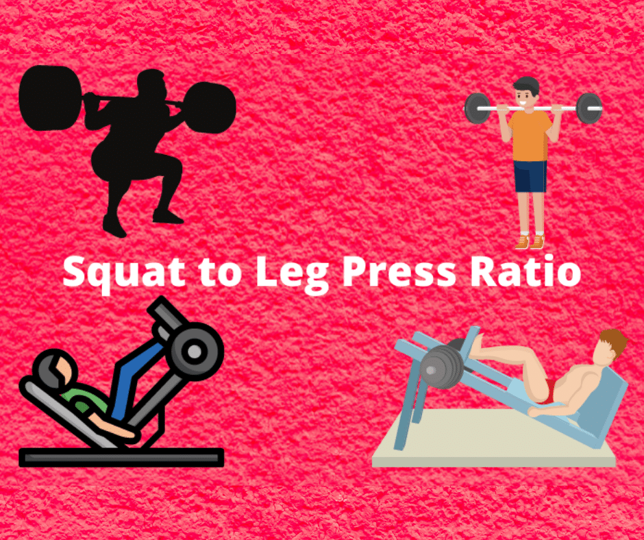 What is the ideal squat to leg press ratio?  (Explained!)

 – healblogger